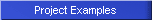 Project Examples