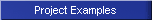 Project Examples